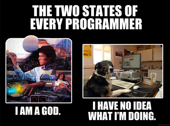 dual nature of programmer