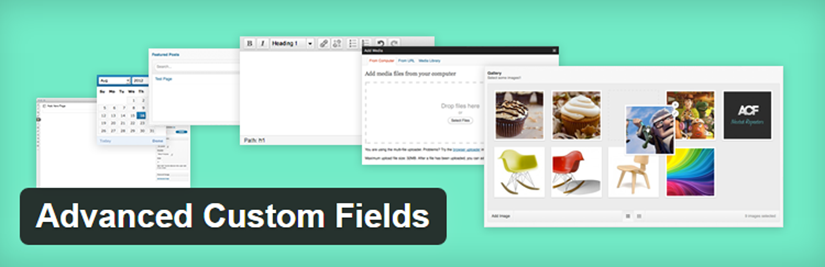 Advanced Custom Field