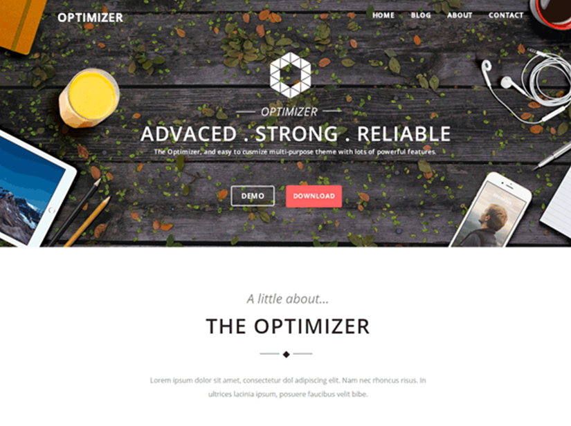 Optimizer Theme