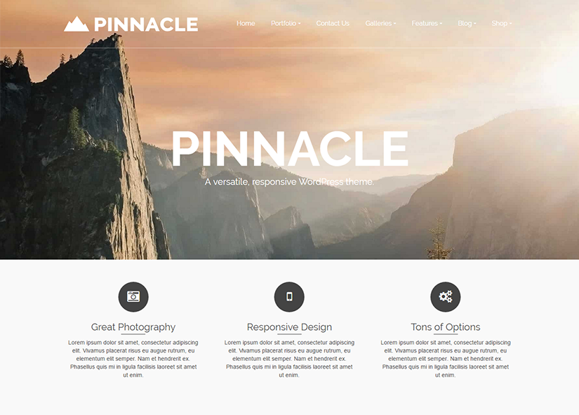 Pinnacle Theme