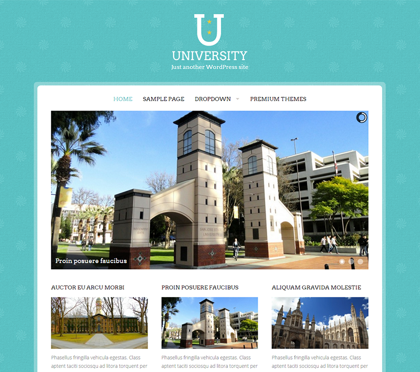 University Theme